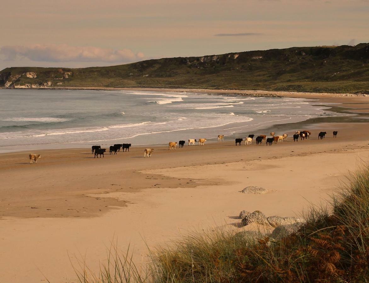 Glen Haven Bed And Breakfast Ballycastle Exteriör bild